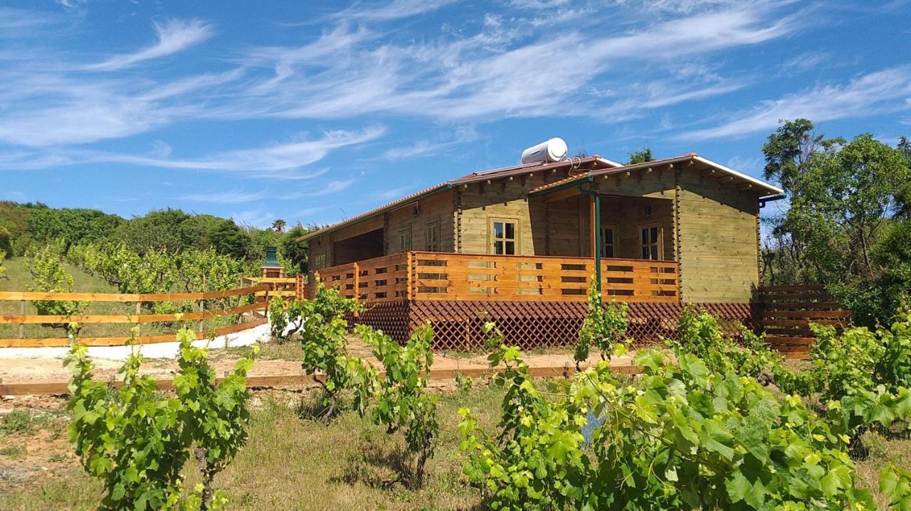 Casa Entre Praias Foz do Arelho Eksteriør bilde